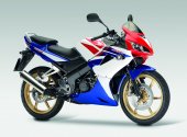 2009 Honda CBR125 photo